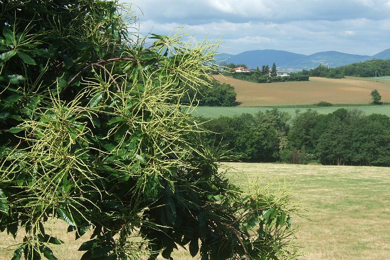 2011-05- (527).JPG